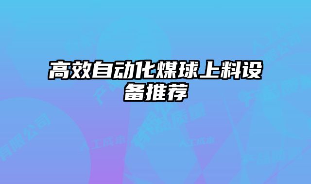 高效自動化煤球上料設備推薦