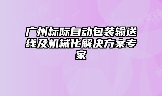 廣州標際自動包裝輸送線及機械化解決方案專家