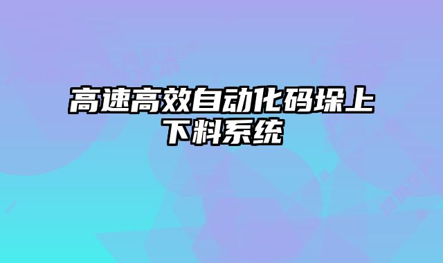 高速高效自動化碼垛上下料系統